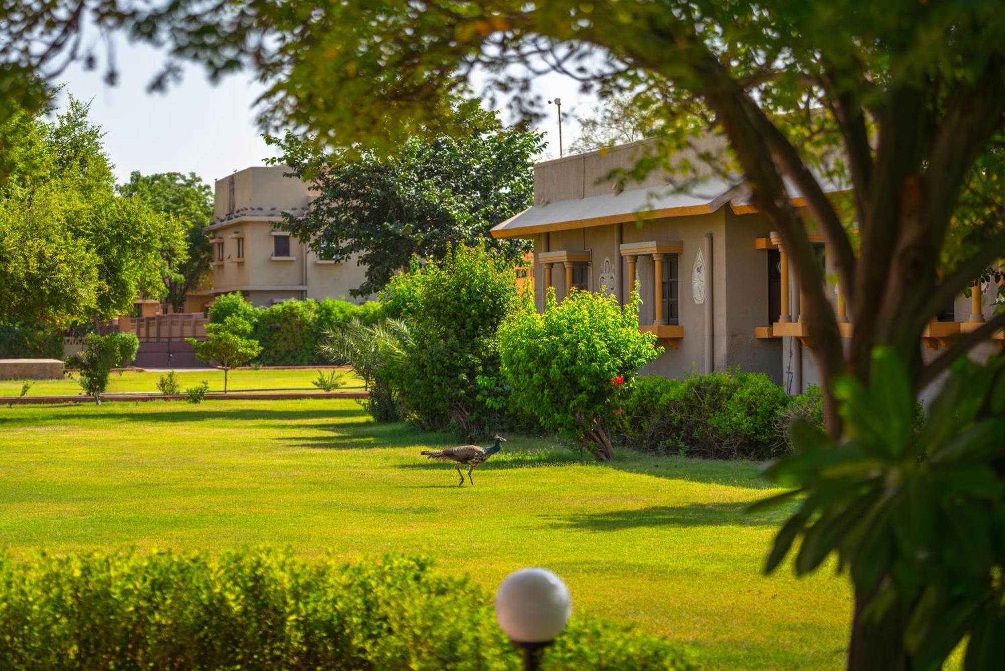 Thar Oasis Resort And Camp Dechu Εξωτερικό φωτογραφία
